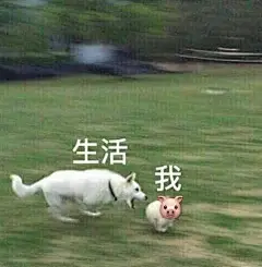 生活与我表情包表情包无水印​​​
