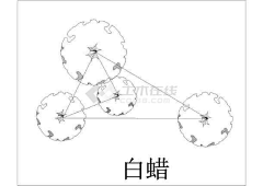 飞扬吧青春采集到LA植物配置