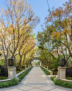 qieting采集到法式景观平面