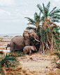 Kenya. by Joe Greer on 500px