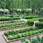 食用园林绿化：厨房花园|  jardin potager |  bauerngarten |  köksträdgård#ANiceGarden