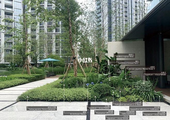 wow｜古翠隐秀植物专篇 : ✳️今日分...