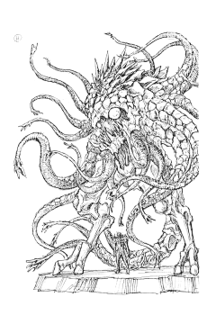 whonly采集到生物
