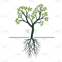 树与绿色的叶子和根。