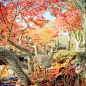 秋の五六枚  「京都.奈良」 ​​​​