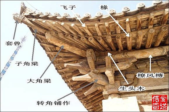 点击查看源网页