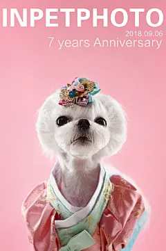 11款彩色封面海报棚拍，冲击你的视觉色彩，想拍这样的照片？
9月6日记得当天抢拍定金，享受8.5折，快把链接放在购物车（链接见评论）提前跟客服咨询套餐和所有疑问，O9月6日早9点准时开抢 ！！

全年只有一次8.5折，千万别错过啊～～

转发图五+自己家毛孩子的照片，写上你们的故事，换额外免费8寸摆台或免费精修一张。
#爱宠物爱英宠摄影# #北京# #宠物摄影#