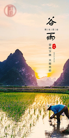 造诣小白采集到谷雨【源文件design006.com】