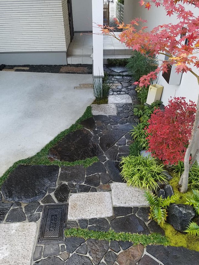 图片中可能有：植物、花和户外