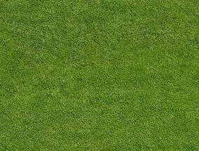3D绿色草坪贴图,草皮贴图,草地贴图,草...