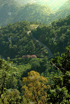 sd2015采集到海报背景、节气、风景