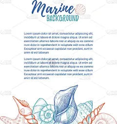 手绘矢量彩色插图-海洋背景。用贝壳设计模板。完美的邀请，贺卡，海报，印刷品，横幅，传单等