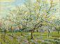 1280px-Vincent_van_Gogh_-_The_white_orchard_-_Google_Art_Project.jpg (1280×944)