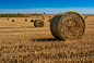 Straw bales on farmland by Andrey Kobylko on 500px