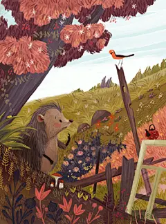 《小刺猬》绘本 俄罗斯插画师 Olga Demidova