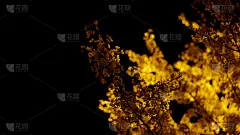 黄金,午夜,春天,壁纸,仅一朵花,贺卡,罗马尼亚,模板,背景,幸福