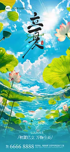 立夏实景感蜻蜓植物近景天空背景全屏手机海报