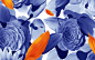 Floral : Vector graphics + photography.