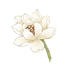 浮世青灯采集到白莲