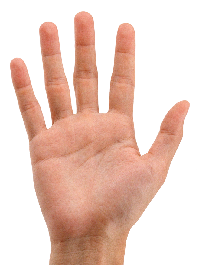 手掌张开五指 右手 男Hands PNG, hand image free