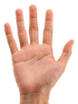 手掌张开五指 右手 男Hands PNG, hand image free