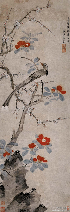 醉了酥醒采集到画