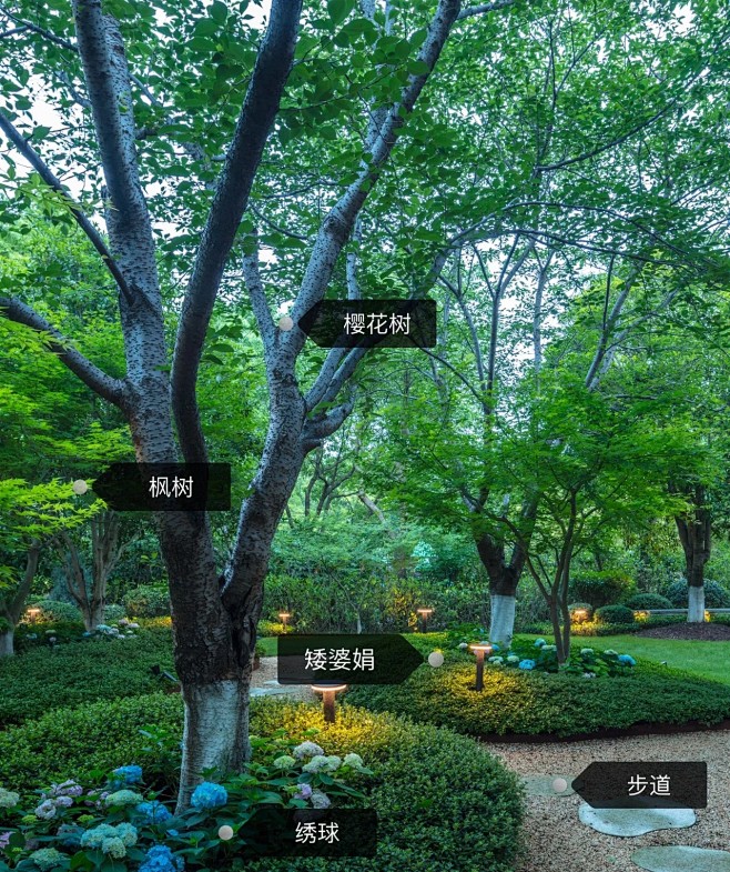 植物配置实景 (178)