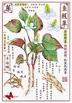 yZiDRwhg采集到绘画