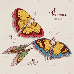 夏天,自然美,旅游目的地,贺卡,蝴蝶,儿童,白昼,废金属,式样,可爱的