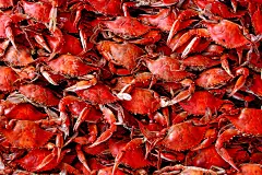 摄影 摄影作品 摄影照片 摄影图片 高清摄影 拍摄图片 壁纸 高清壁纸 电脑壁纸 食物 海鲜 西餐 蟹 黄金蟹 蟹腿 海产品 珍宝蟹