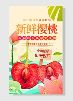 原产地直发包邮来自山东美早大樱桃绿色健康有机老少皆宜车厘子