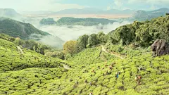 【少年派的奇幻漂流 Life of Pi (2012)】
苏拉·沙玛 Suraj Sharma
#电影场景# #电影海报# #电影截图# #电影剧照#