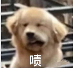 yanqid的素材屋采集到沙雕表情包