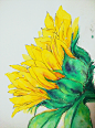 《向日葵》2015年的水彩收回向日葵。