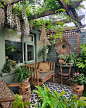 Irish upcycler & thrifter. Buy less, choose well, make it last on Instagram: “A few stills from yesterday, and it was such a beautiful day that I couldn't pass up the chance to take a few photos. . Our husky, Quill…”