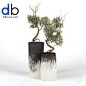 470 Plant 3dmodel 3dsmax