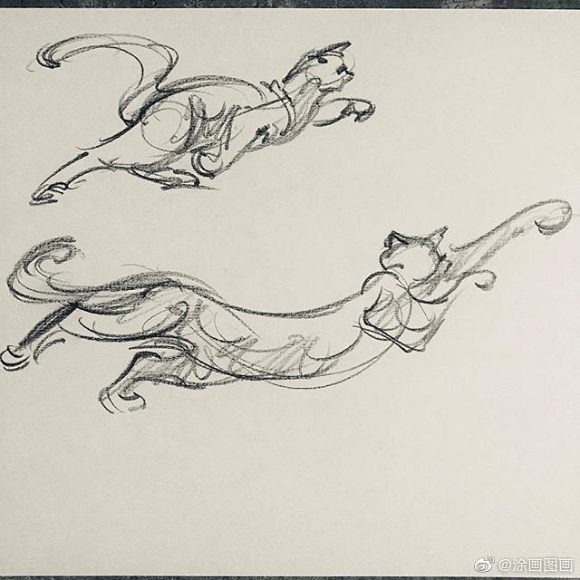 速写·猫