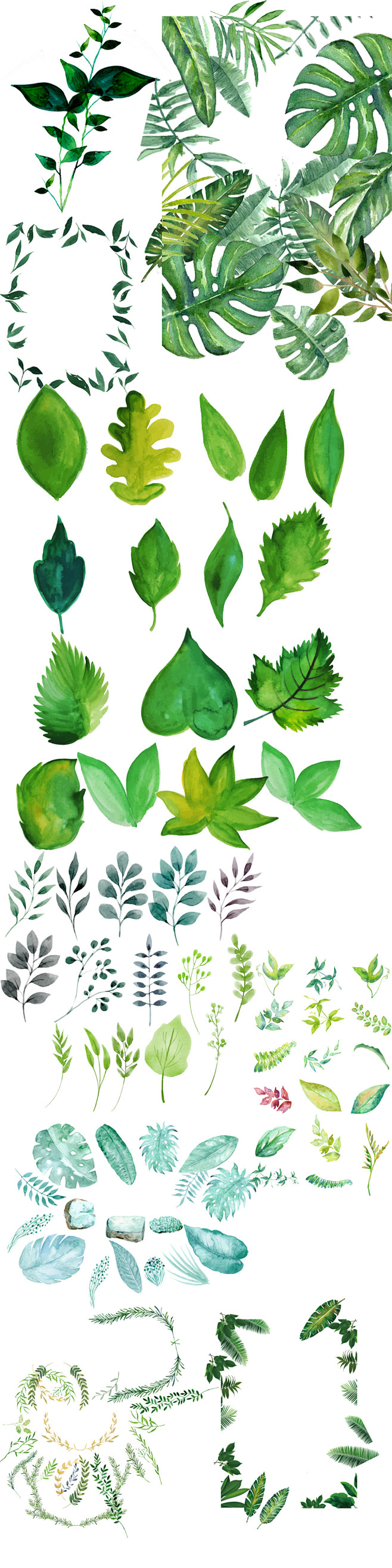 清新北欧美式手绘插画水彩绿植设计背景素材