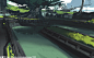 practice of scene concept
