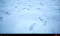 alberto-viapiano-snowprint-surface.jpg (1920×1150)