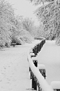 整个冬天，没有见过这样的雪景的童鞋，请举手！！