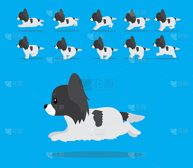 动物动画序列狗蝶耳犬卡通向量黑色外套