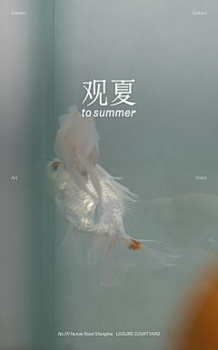 爱吃鸡腿的腿腿采集到创意灵感