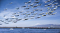 摄影师周游世界拍飞机，合成“同时起飞”壮观画面