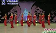 杨艺立华《新年喜洋洋》