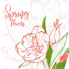 直的,郁金香,草图,花朵,华丽的,商务,请柬,贺卡,结婚请柬,问候