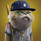 3D 3D Character animal Cat Collection nft nft art
