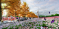 WLA18-Flower-Garden-Park-Flower-Boulevard-Montage-∏-Chris-Blandford-Associates-Ltd-565x283