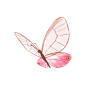 蝴蝶png