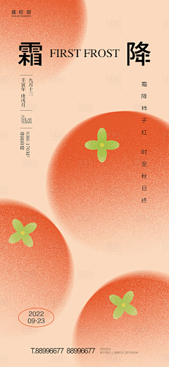 love3cat采集到特殊风格